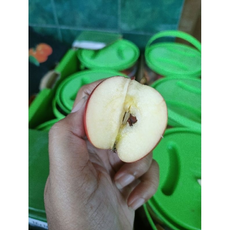 

buah buahan