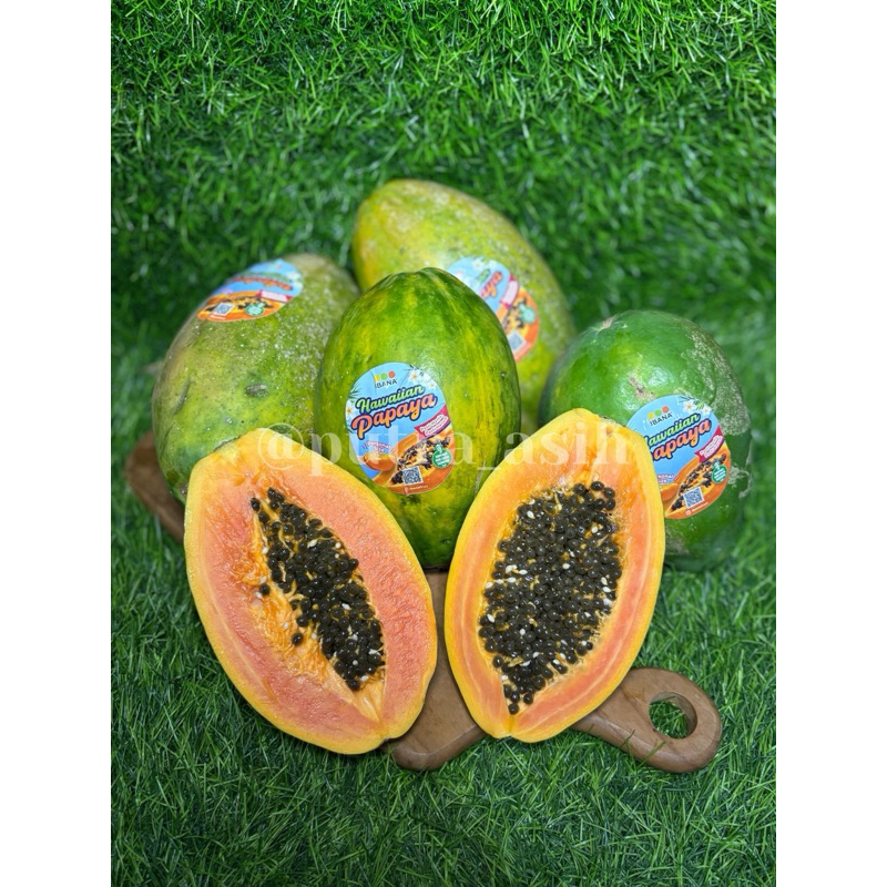 

Pepaya Hawaii 1 Buah