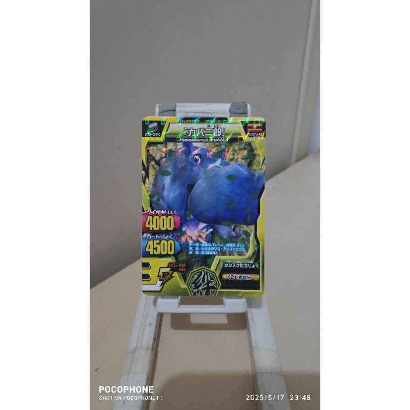 kartu animal kaiser friend card kabaniro