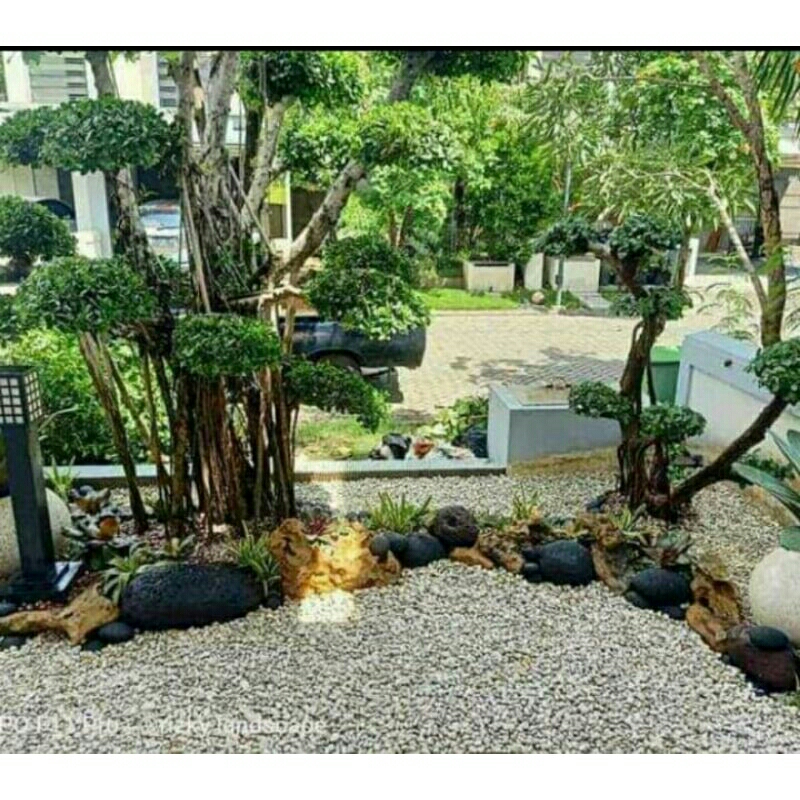 taman depan rumah minimalis