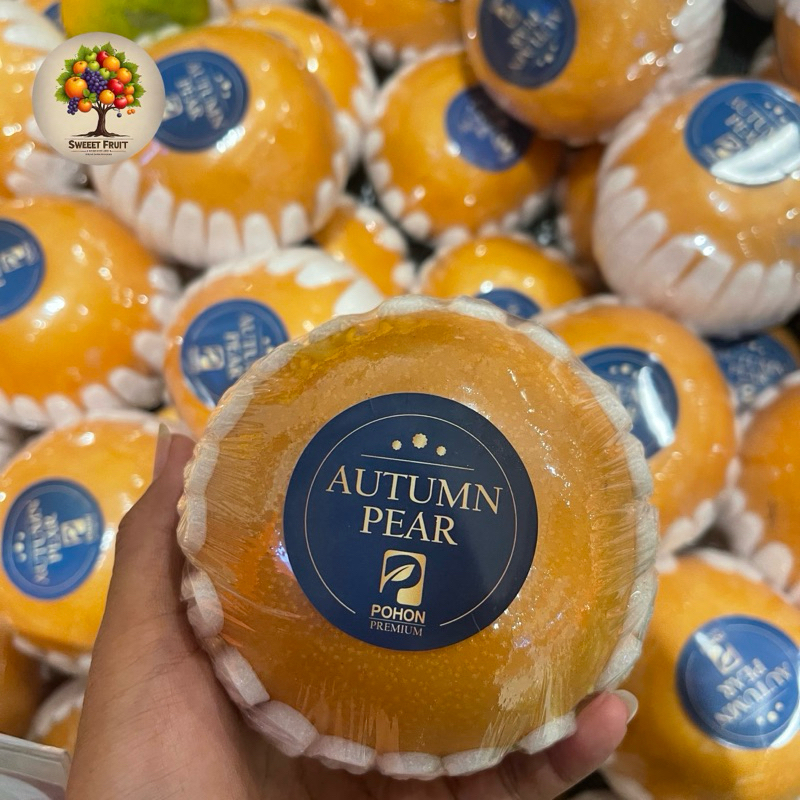 

Pear Autumn Honey | Pear Pohon Premium Fresh 1 kg