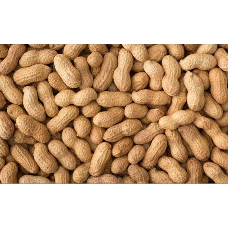 

KACANG TANAH KULIT 1kg