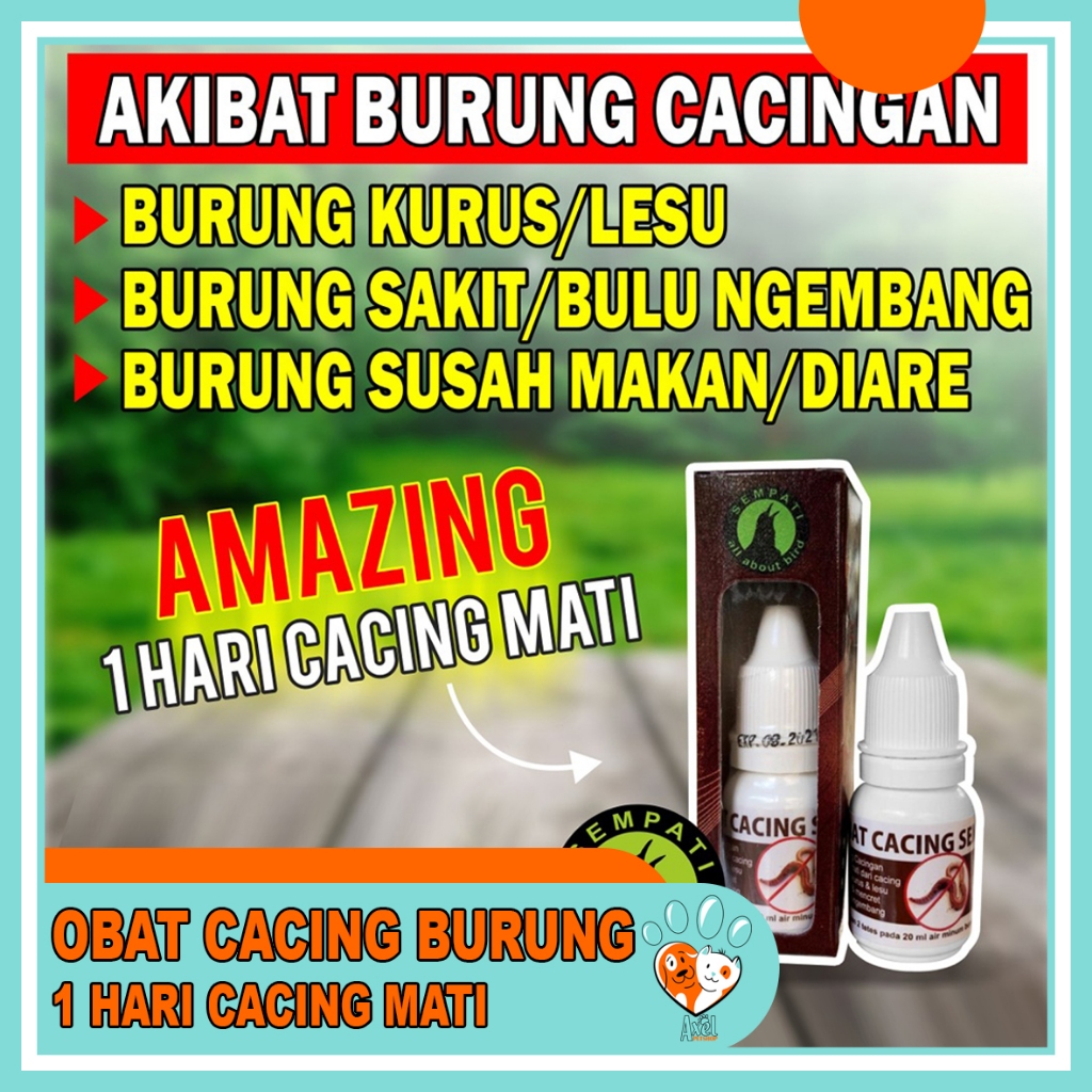 Sempati Obat Cacing Sempati Mengobati Burung Sakit Cacing Kurus Lesu Untuk Murai Kacer Lovebird Anis