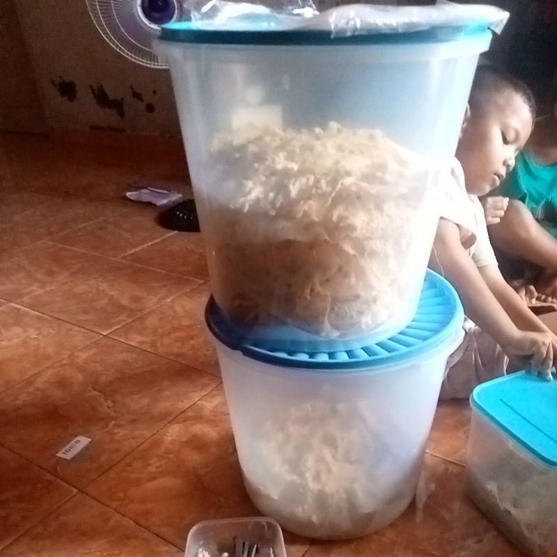 

kerupuk peyek kacang dan udang