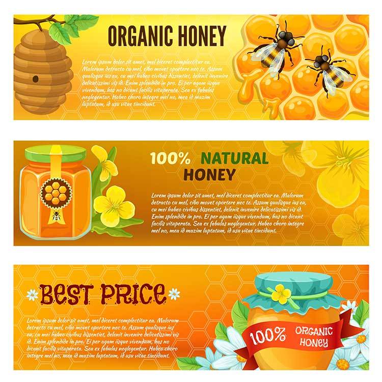 

Classica2106 Madu Sarang 500 Gram / Honeycomb 100% Asli Bergaransi Dari Peternak Lebah