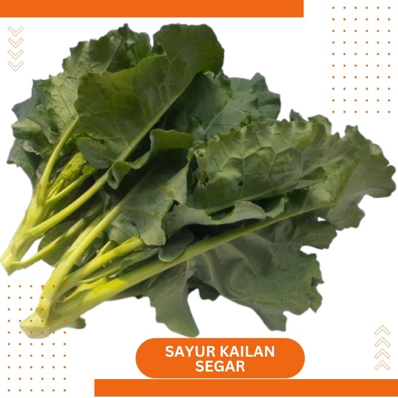 

Sayur Kailan Segar