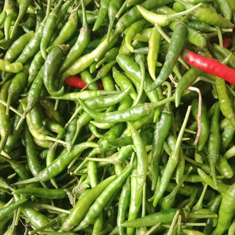 

cabe silir atau uceng 1kg