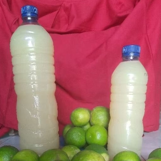 PERASAN JERUK NIPIS SEGAR UNTUK WARANGAN / JAMAS KERIS
