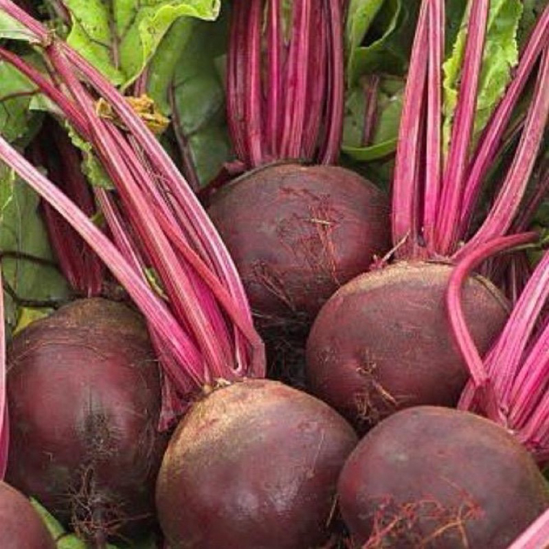 

PROMO COD BUAH BIT SUPER