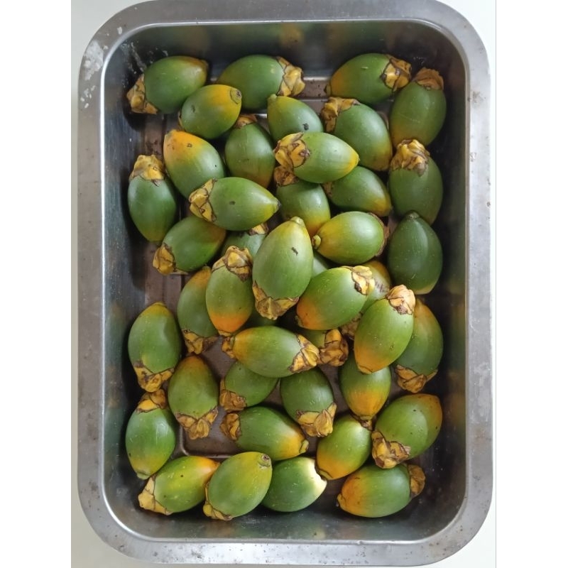 

buah pinang muda/jambe paket isi 20