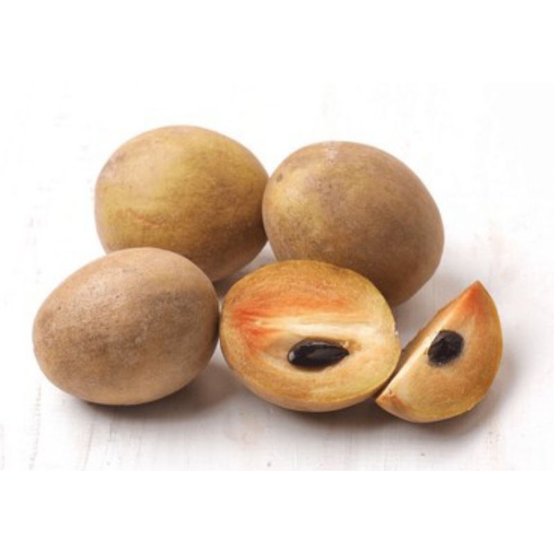 

QUEEN BUAH - Buah Sawo Manis Manila