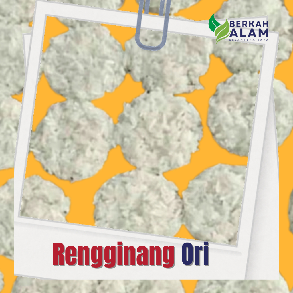 

Rengginang Mentah Ori 1 Kg Rengginang Gurih Berkah Alam Sejahtera Jaya