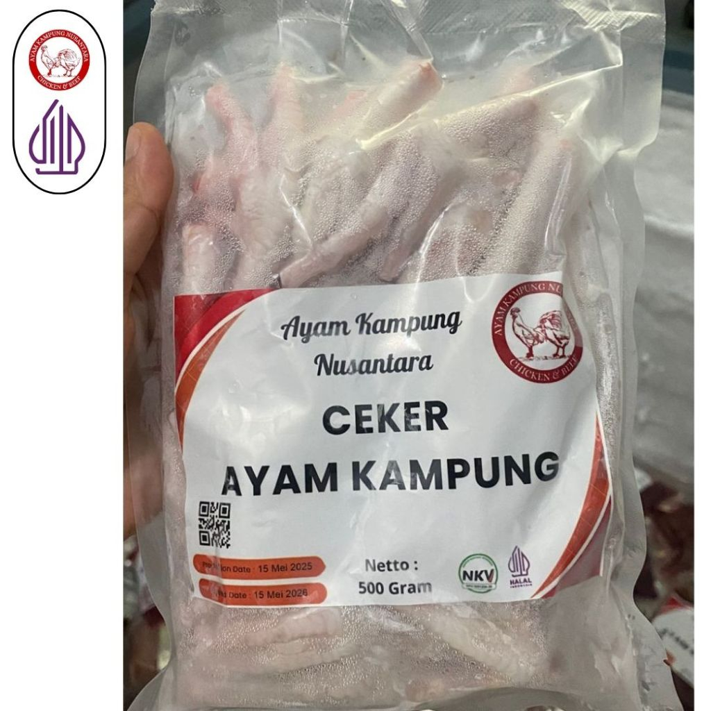 

CEKER AYAM KAMPUNG