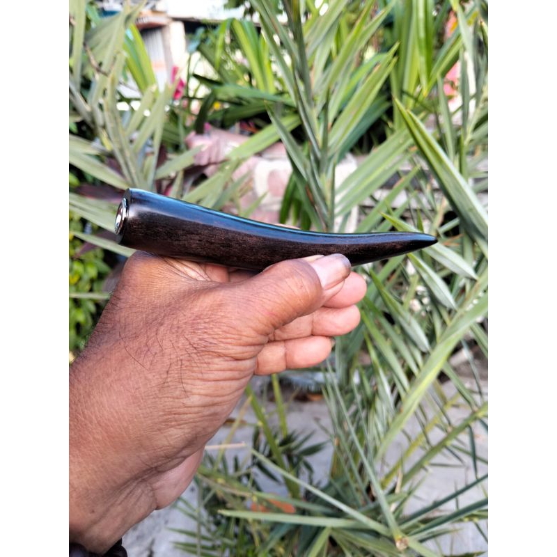 once kelor hitam jumbo panjang 15cm