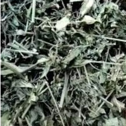 

Sambiloto Cacah Kering 50 Gram Sambiroto