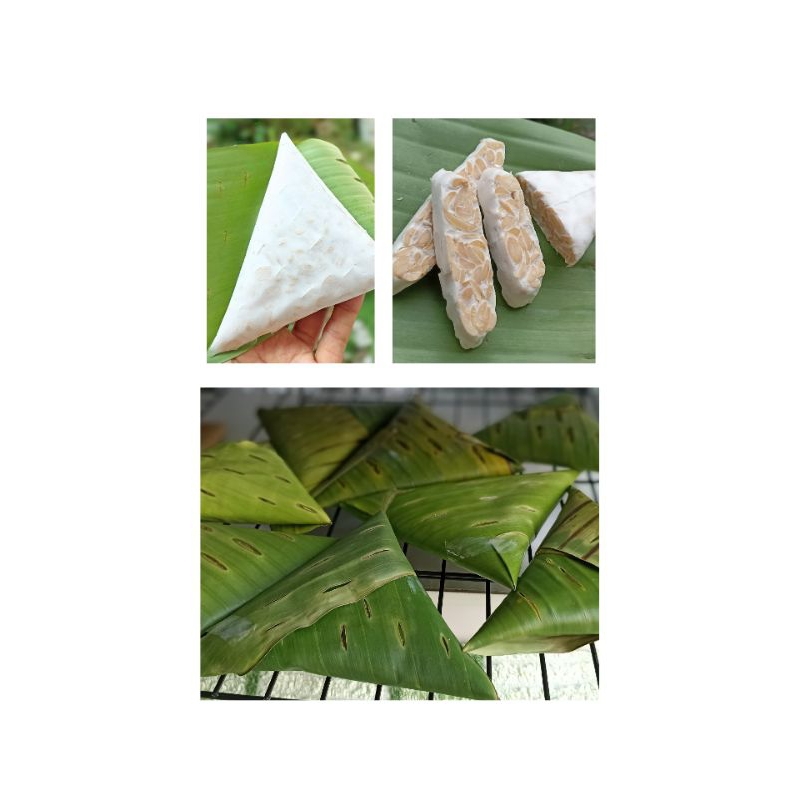 

Tempe kedelai organik, non GMO, ready to eat