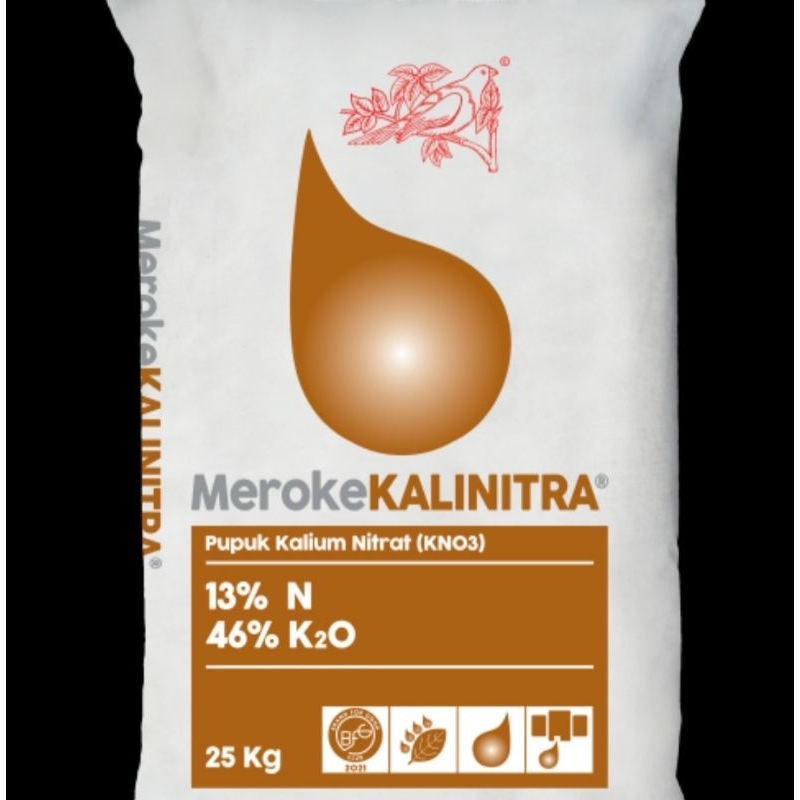 Meroke