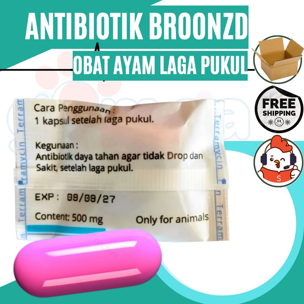 broozd antibiotik ayam untuk obat ayam setelah laga prongkol gimca