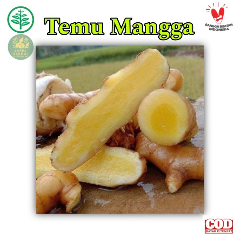 

Rimpang Temu Mangga Premium 1/4 Kg | Meningkatkan Pelancar Nafsu makan Herbal by Aromea
