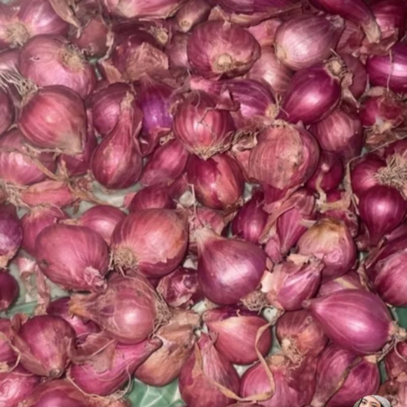 

Brambang Bawang Merah Konsumsi Bumbu Masak Kering Garing Ecer Eceran Lokal Asli Nganjuk Kecil Tanggung 500 Gram 500Gram 500Gr 1kg 1 Kg 1Kilo Kilogram Kilo Murah Termurah
