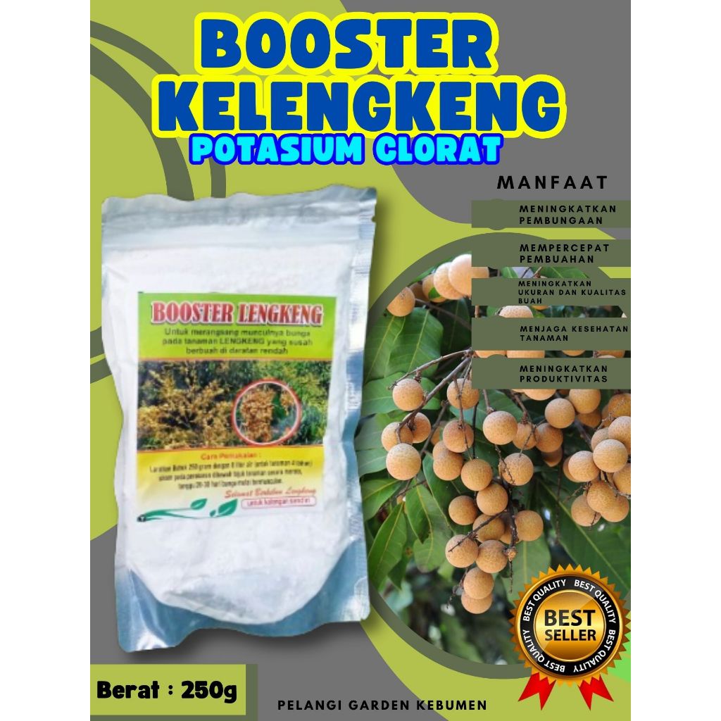 SOLUSI AMPUH  Booster Kelengkeng Cangkokan, Booster Kelengkeng Cristal