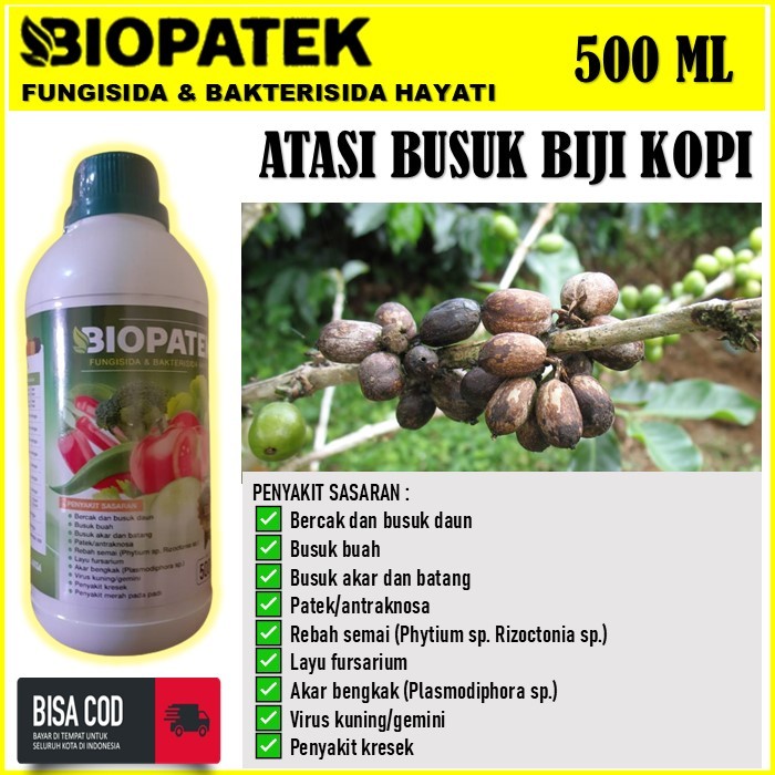 BIOPATEK Fungisida & Bakterisida Hayati pupuk organik atasi busuk biji, busuk batang, busuk akar tan