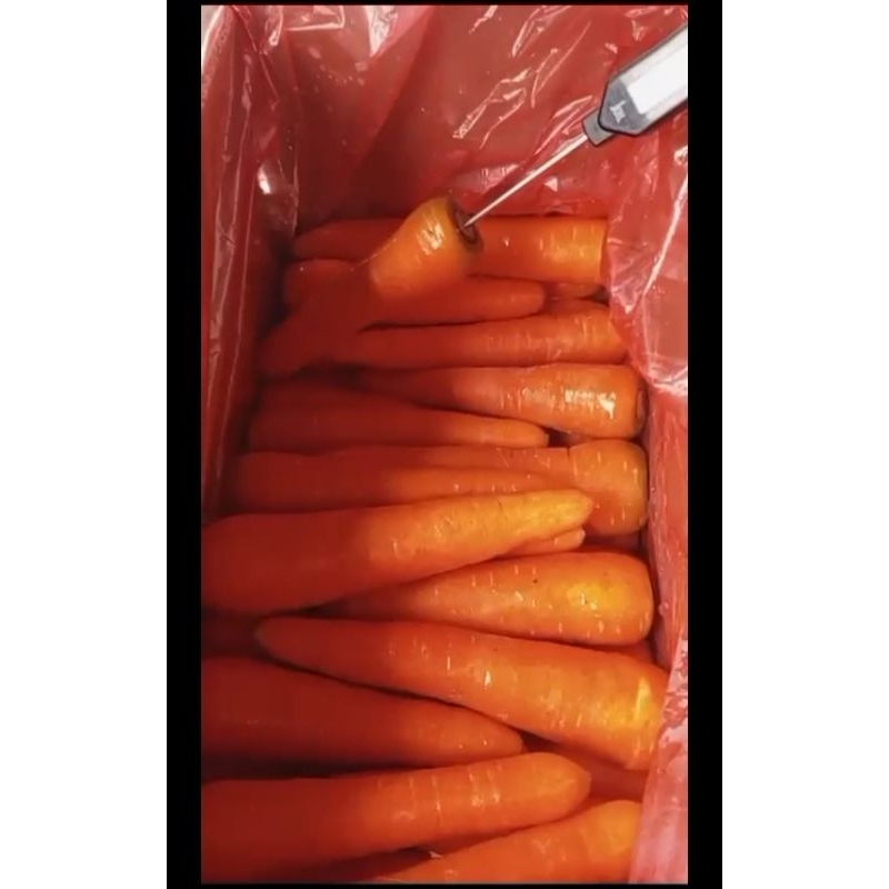 

Wortel Brastagi Premium Dus & Bal 10 kg