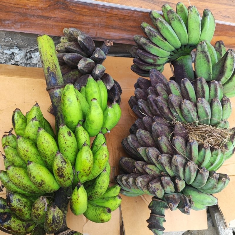 

pisang kepok dan pisang susu 1kg langsung panen dari petani berat 1 kg 1000 gr gedang kapokan cau