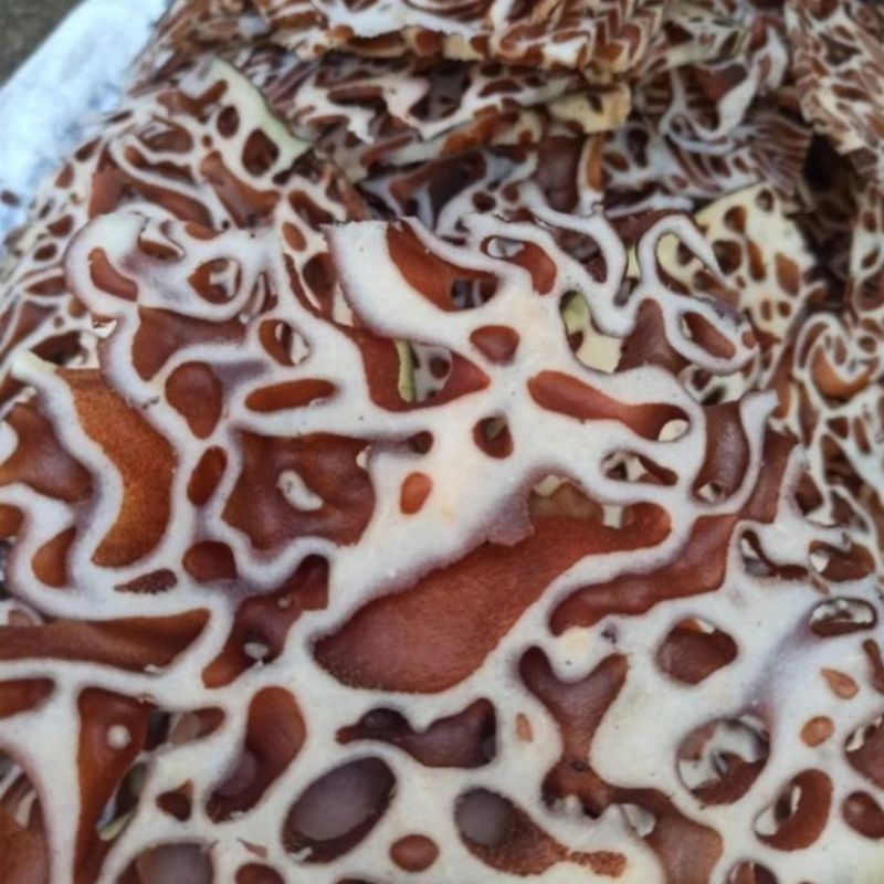 

Sarang semut Papua asli 1kg