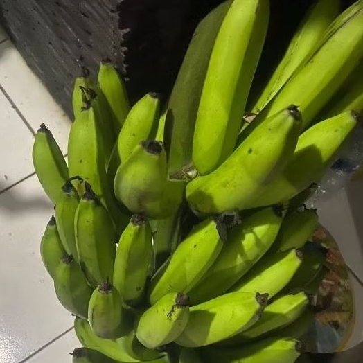 

Buah Pisang Mentah DRM 500 Gram Pisang Bangkaulu