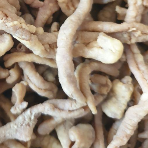 

Makanan Kering Kripik Usus Renyah Gurih Cemilan Rumahan Keripik Usus Garing Snack Gorengan