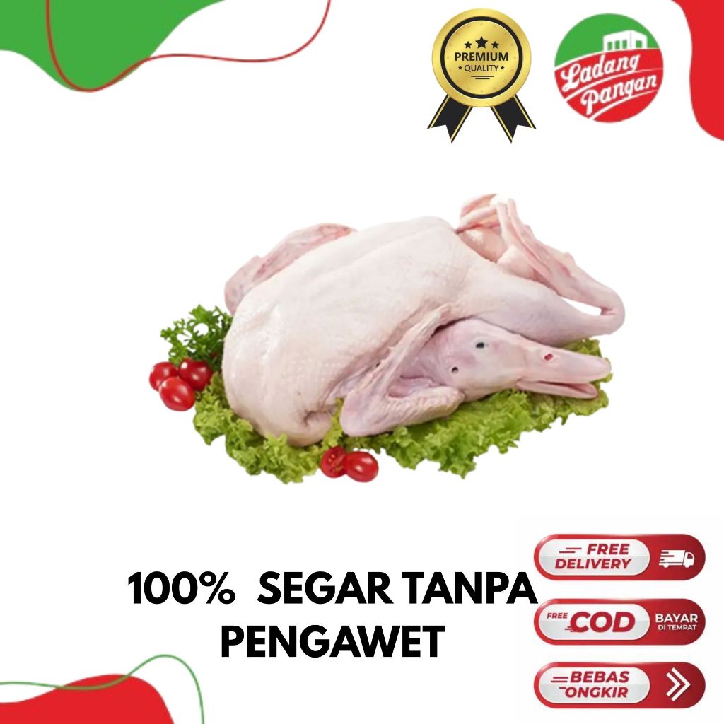 

DAGING BEBEK LOKAL MUDA 1 - 1.1 KG PREMIUM GRADE A SUPER FROZEN FRESH