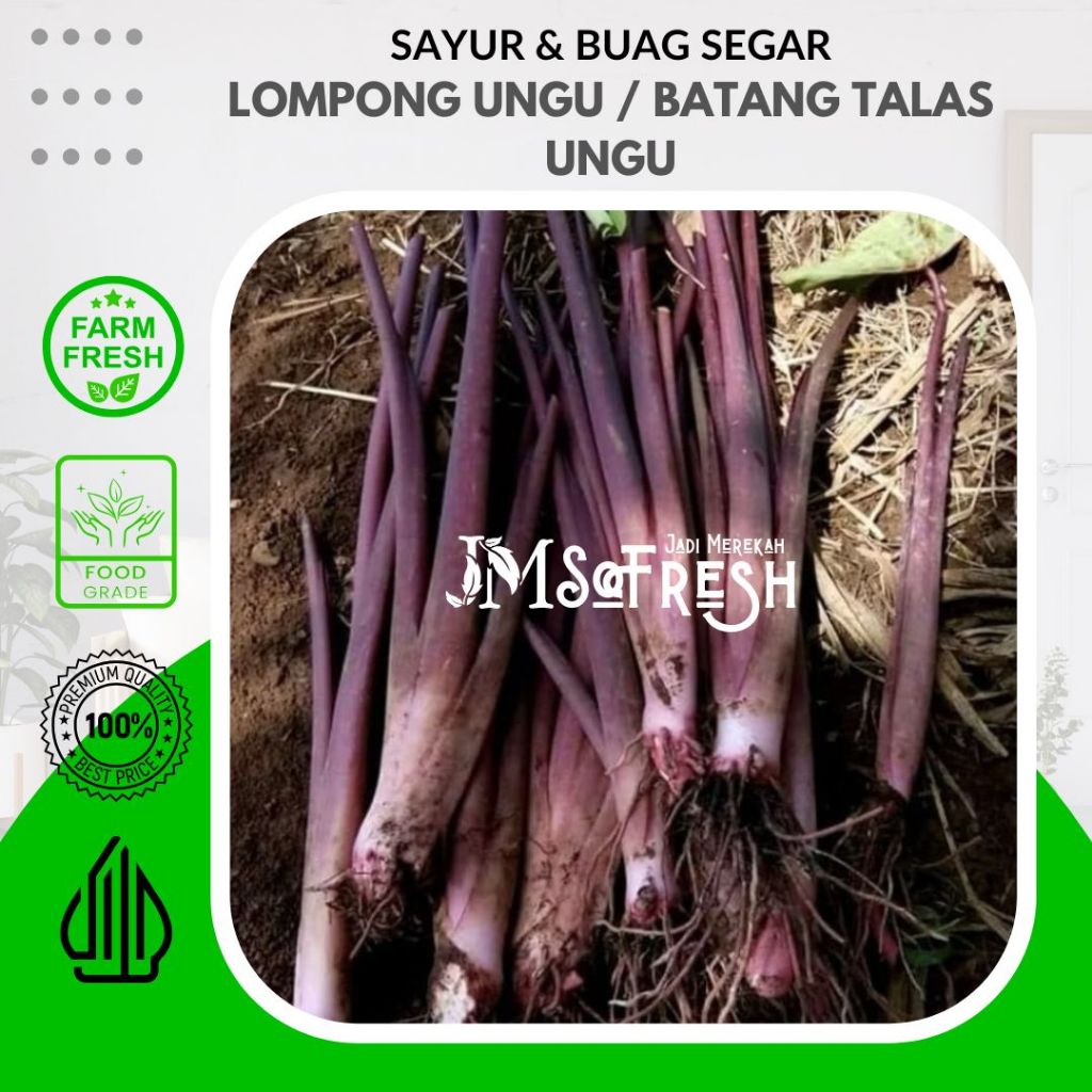 [JM SoFresh] Sayur Lompong Ungu Segar dan Fresh 1Kg / Sayur Batang Talas Ungu 1Kg