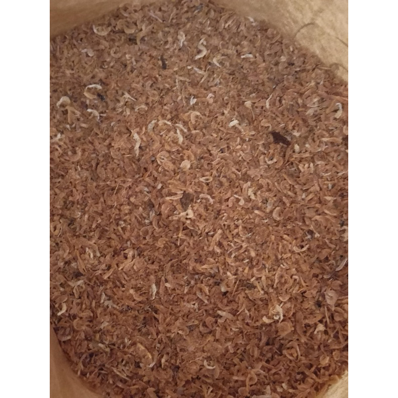 

Geragu | Udang Kecil | Udang Kering | Udang Peyek