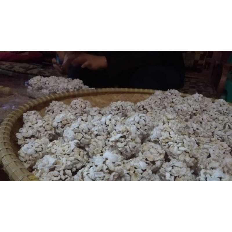 

BORONDONG GARING KHAS JAWA BARAT