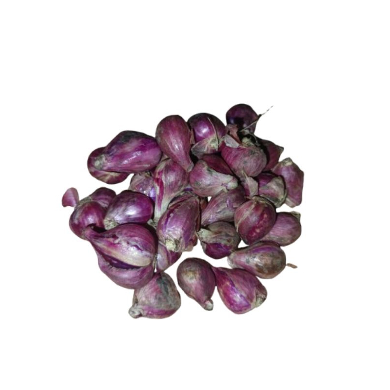 

Bawang Merah kecil 1kg atau 1/4