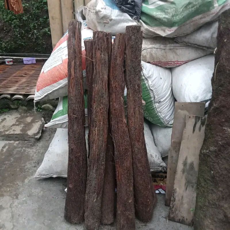 Batang pakis /akar pakis media anggrek