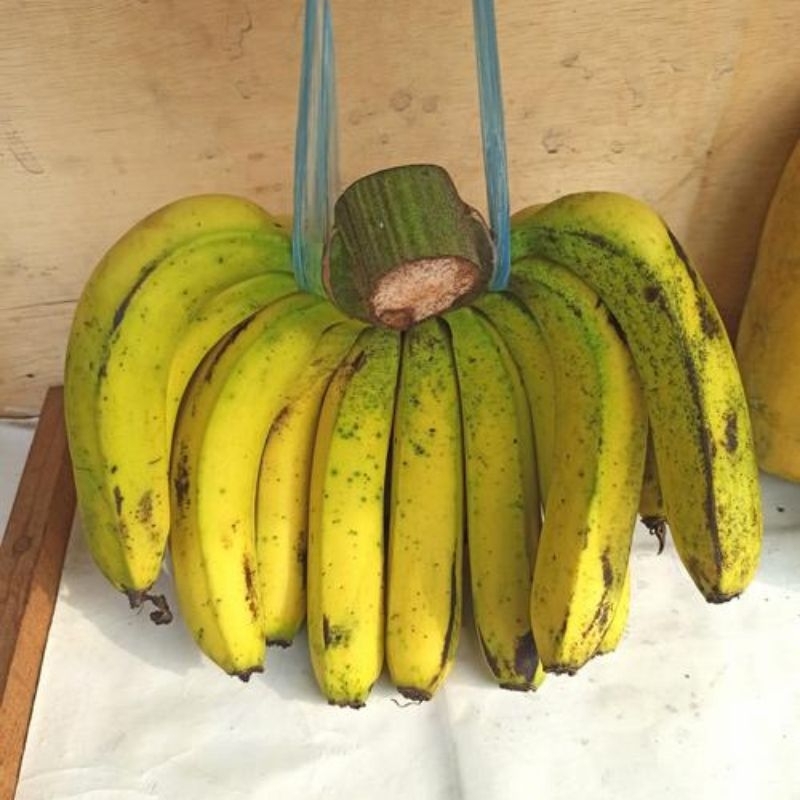 

Pisang Ambon 1 sisir
