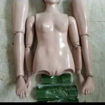 Torso Jenazah Silicon pria / wanita