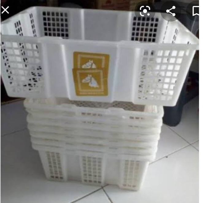 Keranjang Plastik Serbaguna Bekas Kelengkeng dan Jeruk