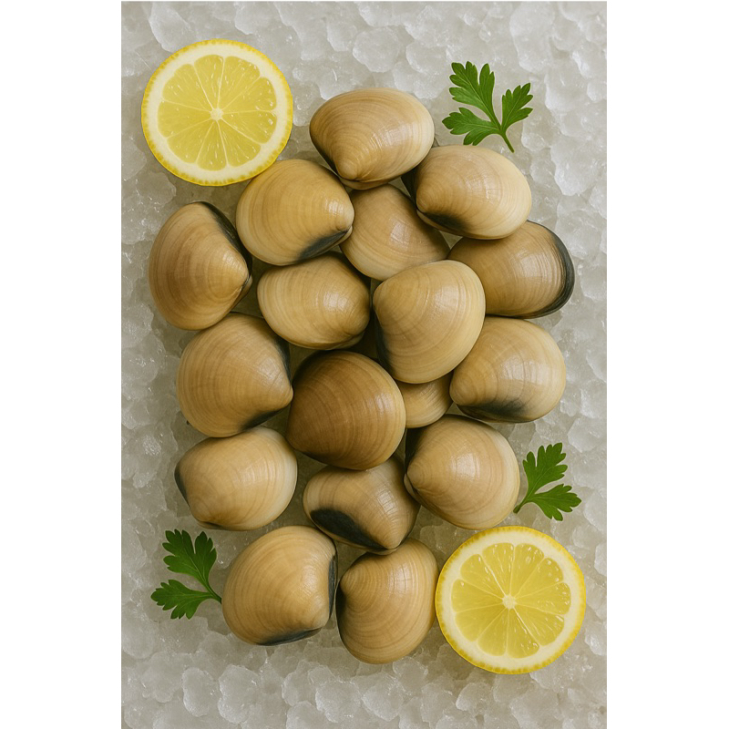 

Kerang tahu fresh | kerang tahu termurah | Seafood | 1kg