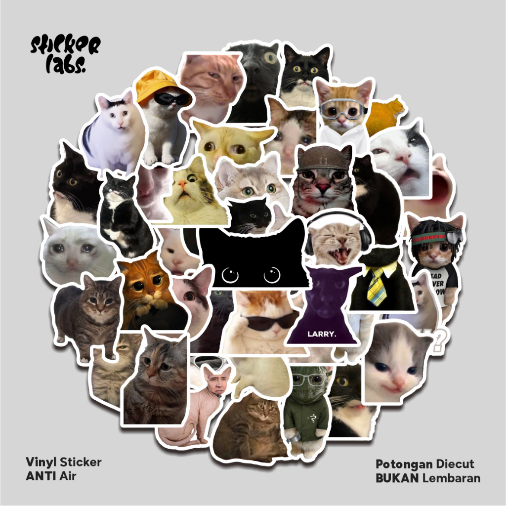 

Sticker Pack Meme Kucing Aesthetic Kitten Vinyl Cute Stiker Waterproff Cat Helm Lucu Laptop Anti Air