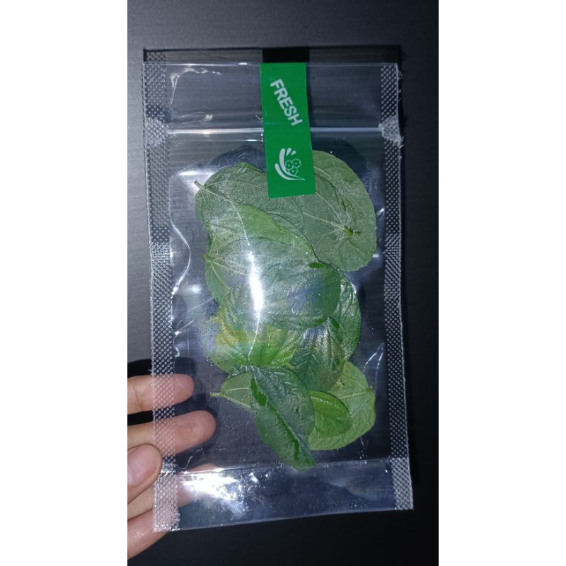 

Daun bidara fresh Ori