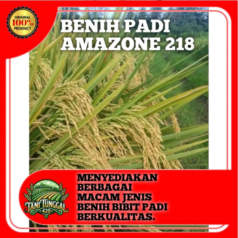 BENIH PADI AMAZONE 218 SUPER TERBAIK KEMASAN 2KG