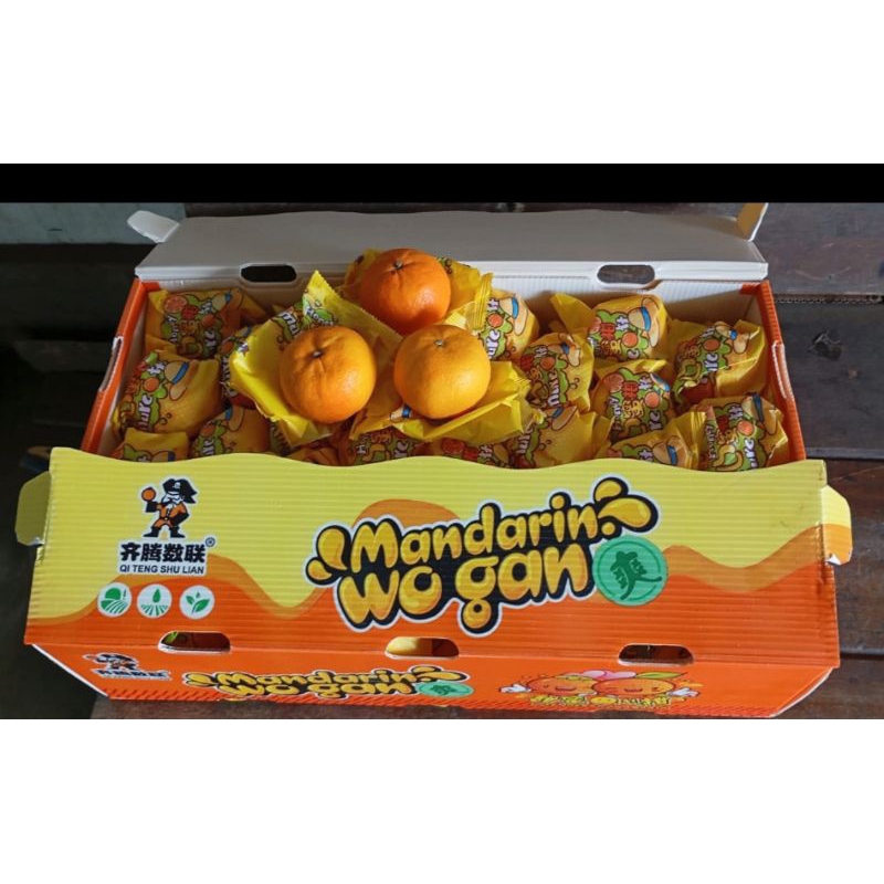 

Jeruk Wogam Premium Garansi Manis, Seedless
