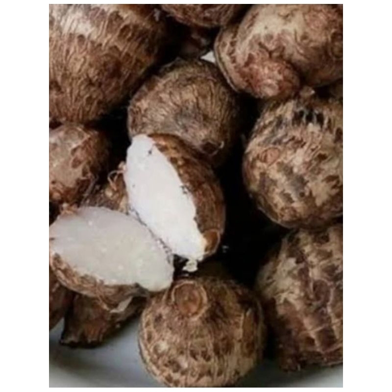 

MBOTE / MBOTHE / UMBI TALAS / MBOTE SEGAR