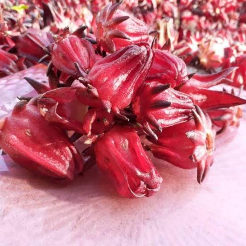

Teh Bunga Rosella Basah Non Biji Kemasan 1 Kg Fresh
