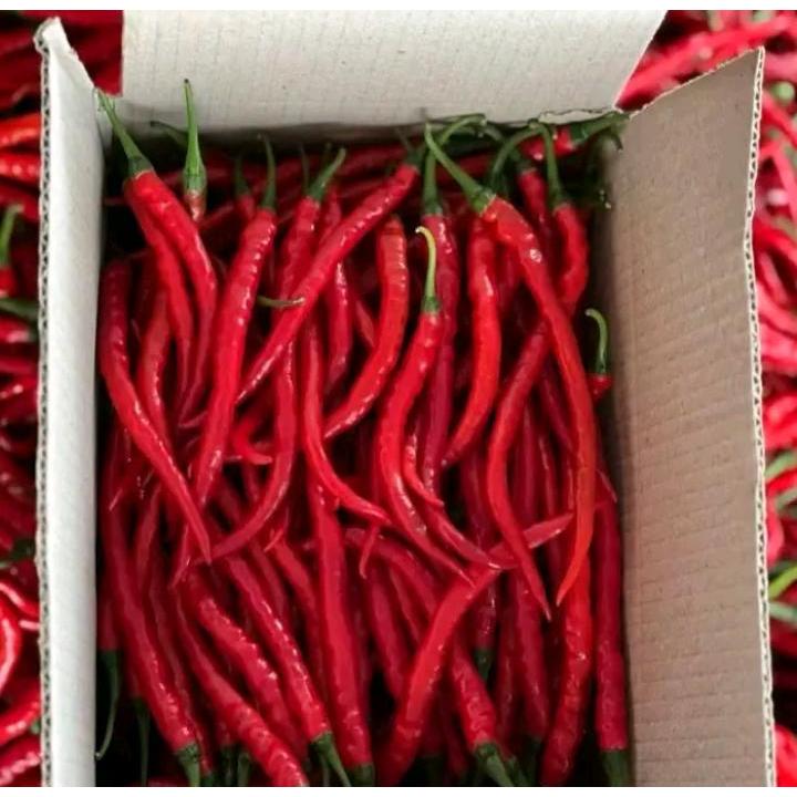 

Cabe/Cabai Merah Kerting Fress Berat 1 Kg Termurah