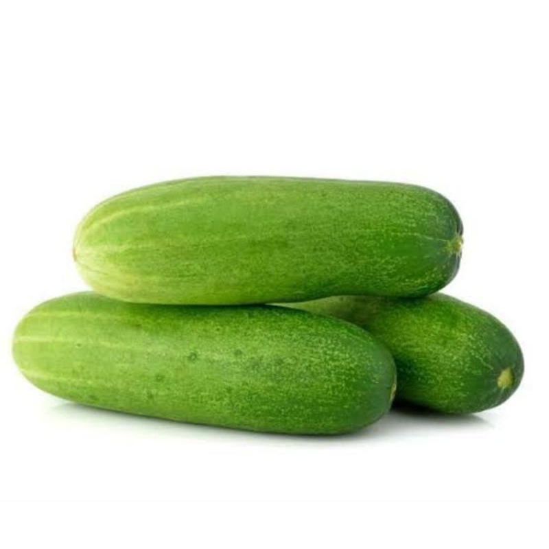 

kirim instan timun segar timun fresh 500gr