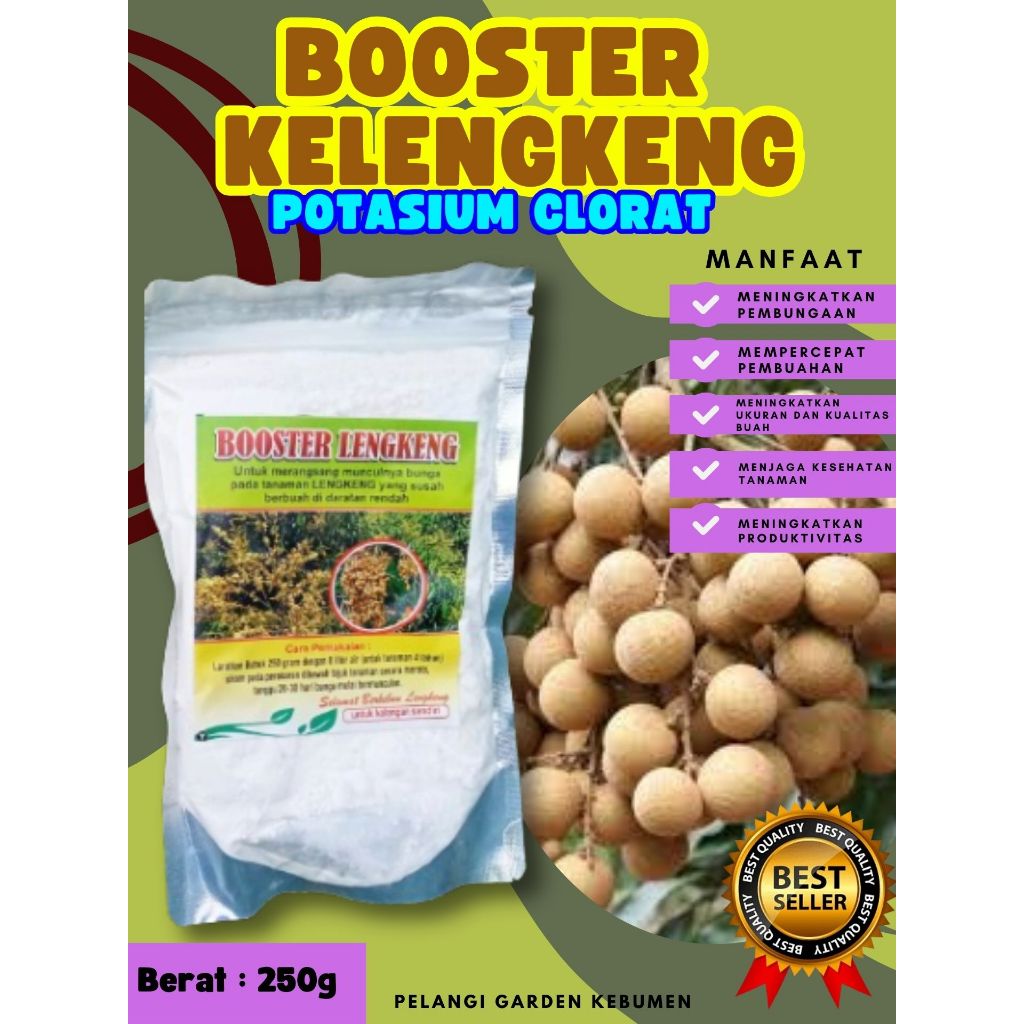TERBAIK  Booster Kelengkeng Bubuk, Booster Kelengkeng Berbuah, Booster Kelengkeng Berbunga